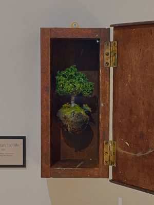 A surreal artwork of an vintage wooden box mounted to the wall with a hinged door,. Inside a small flowing planet with a singular tree sitting on top. The tree is lit from behind with a tea light.