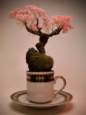 Cup of Calm: Japanese garden collection . 3 of 6