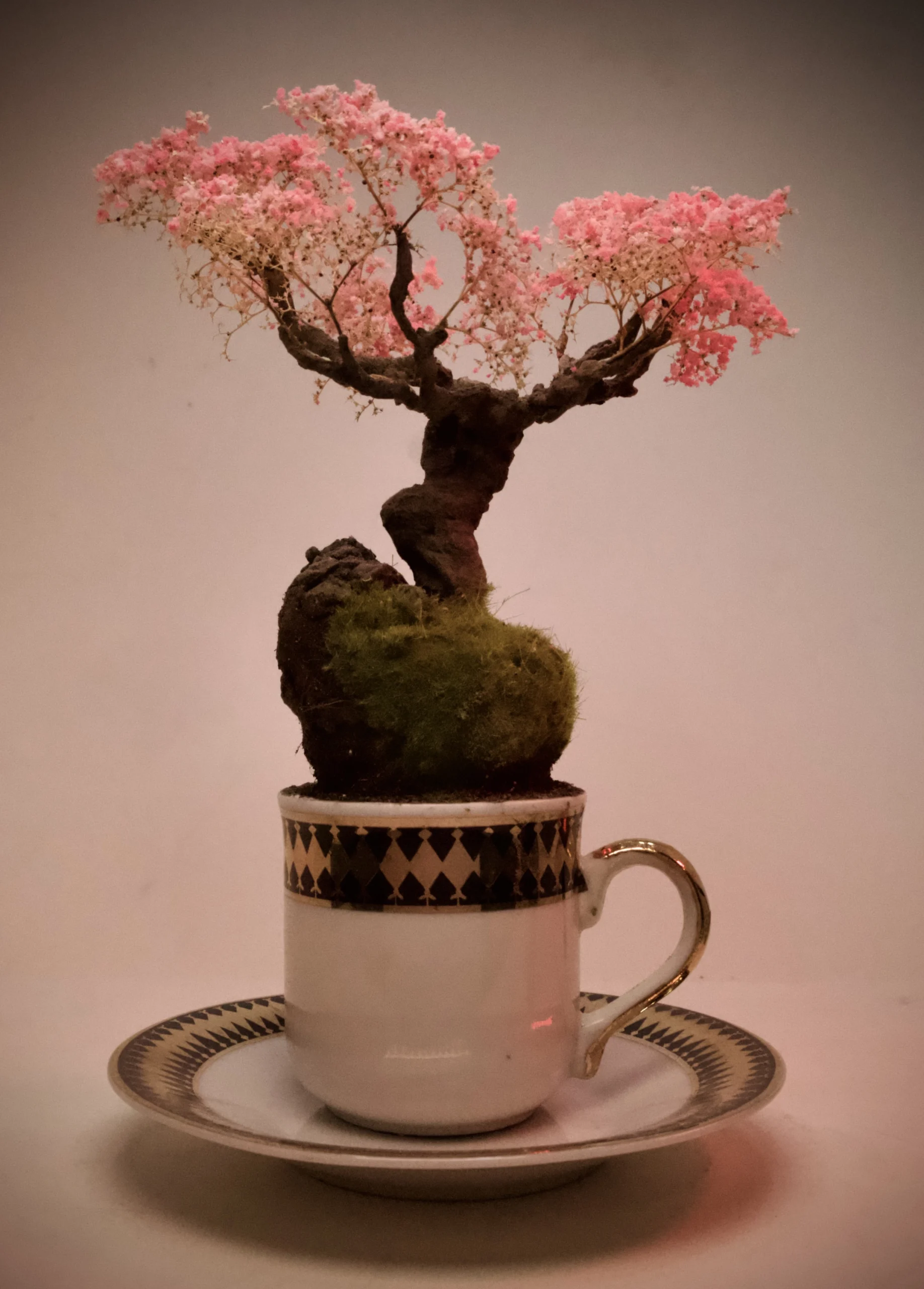 Cup of Calm: Japanese garden collection . 3 of 6