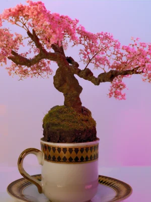 Cup of Calm: Japanese garden collection . 2 of 6