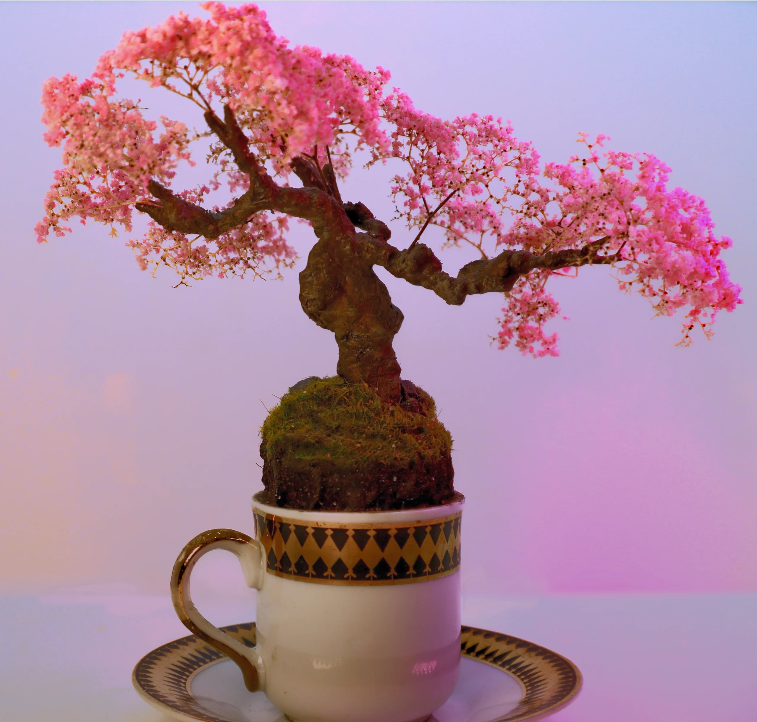 Cup of Calm: Japanese garden collection . 2 of 6