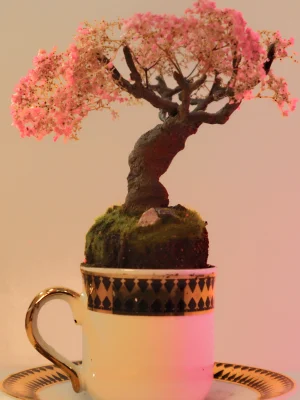Cup of Calm: Japanese garden collection .1 of 6