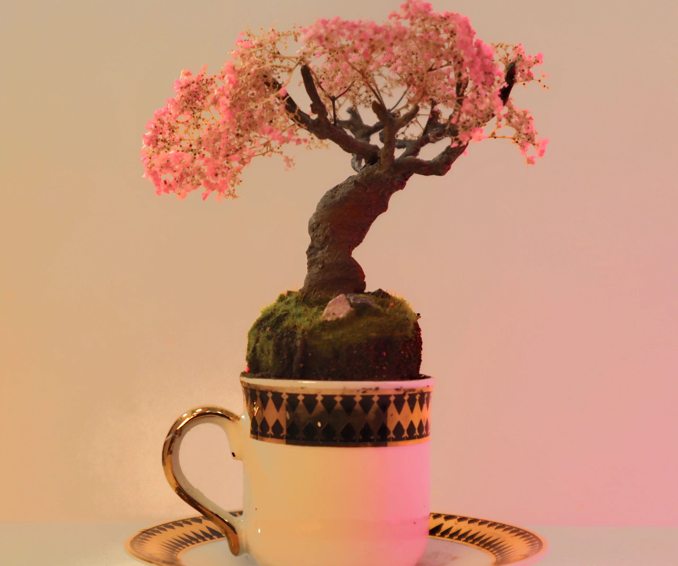 Cup of Calm: Japanese garden collection .1 of 6