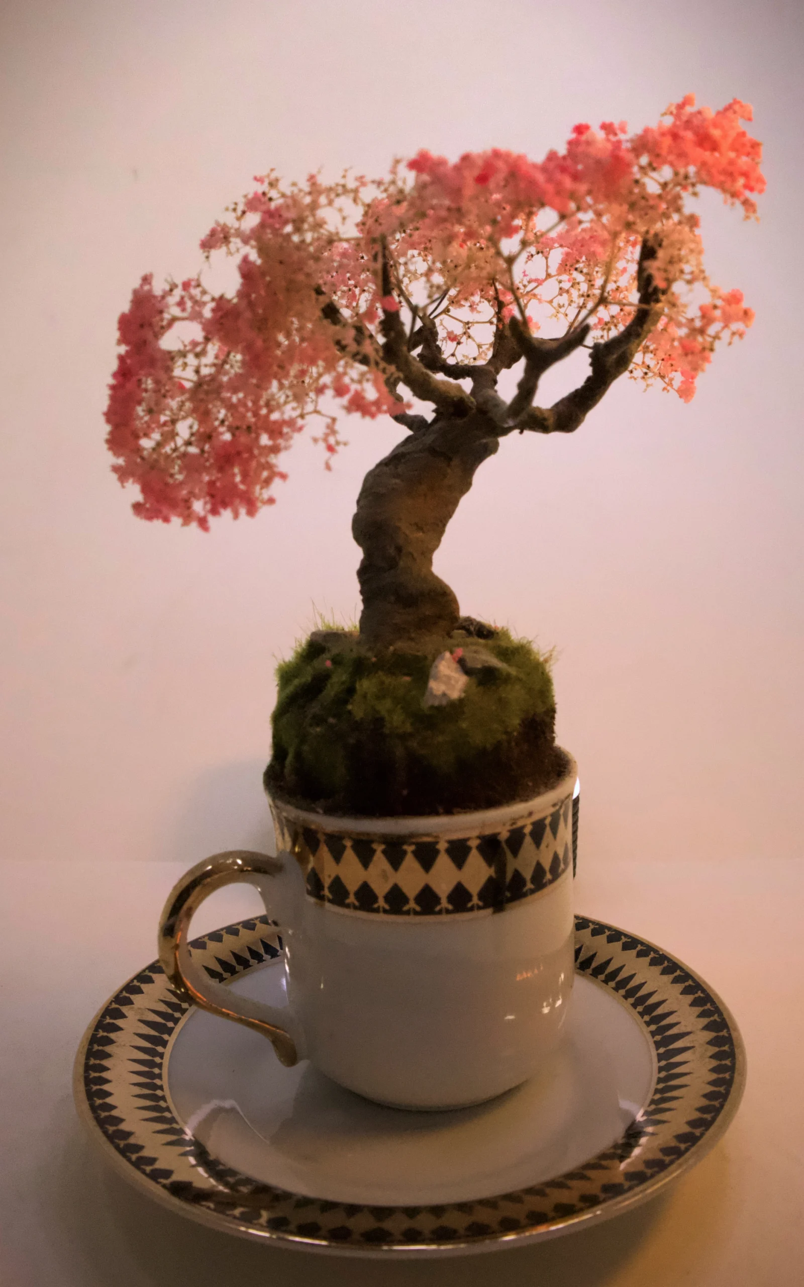 Cup of Calm: Japanese garden collection .1 of 6 - Image 3