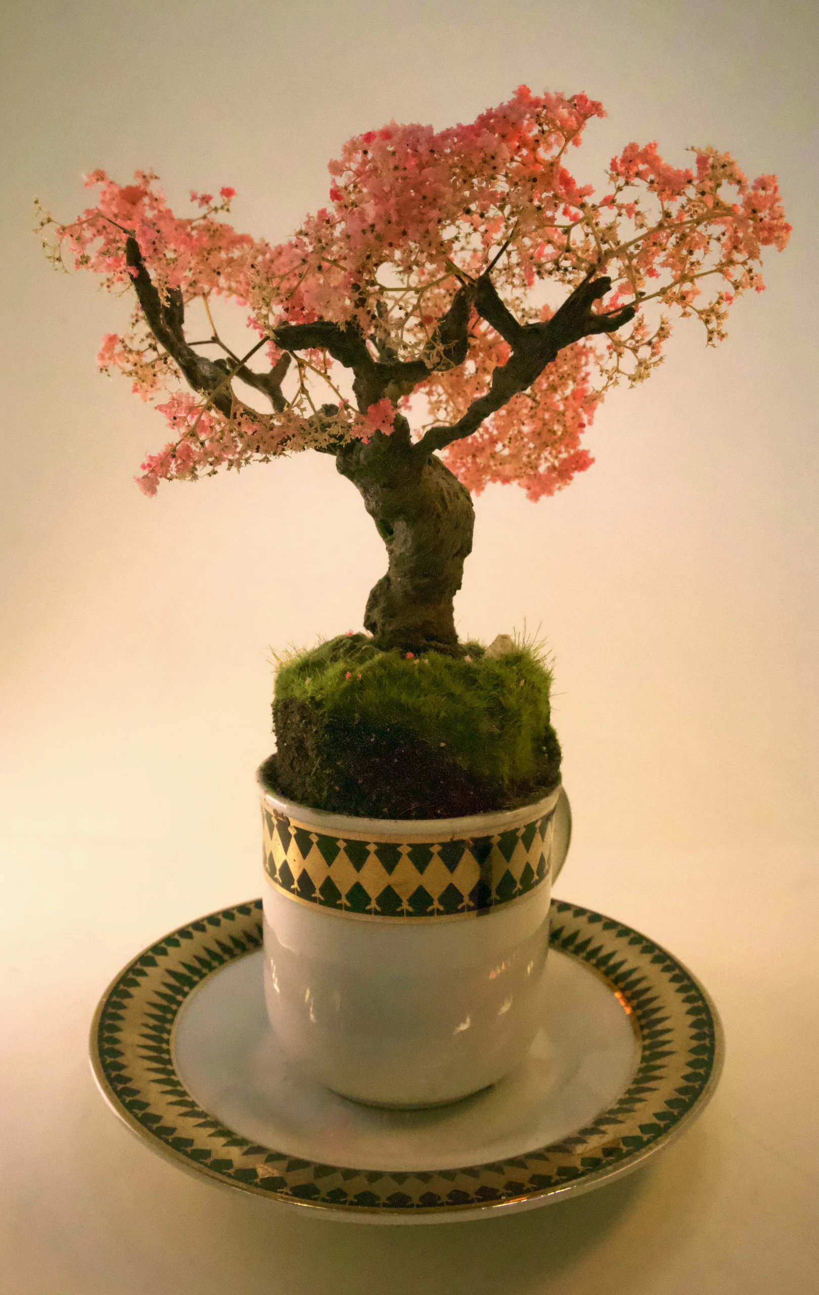 Cup of Calm: Japanese garden collection .1 of 6 - Image 2
