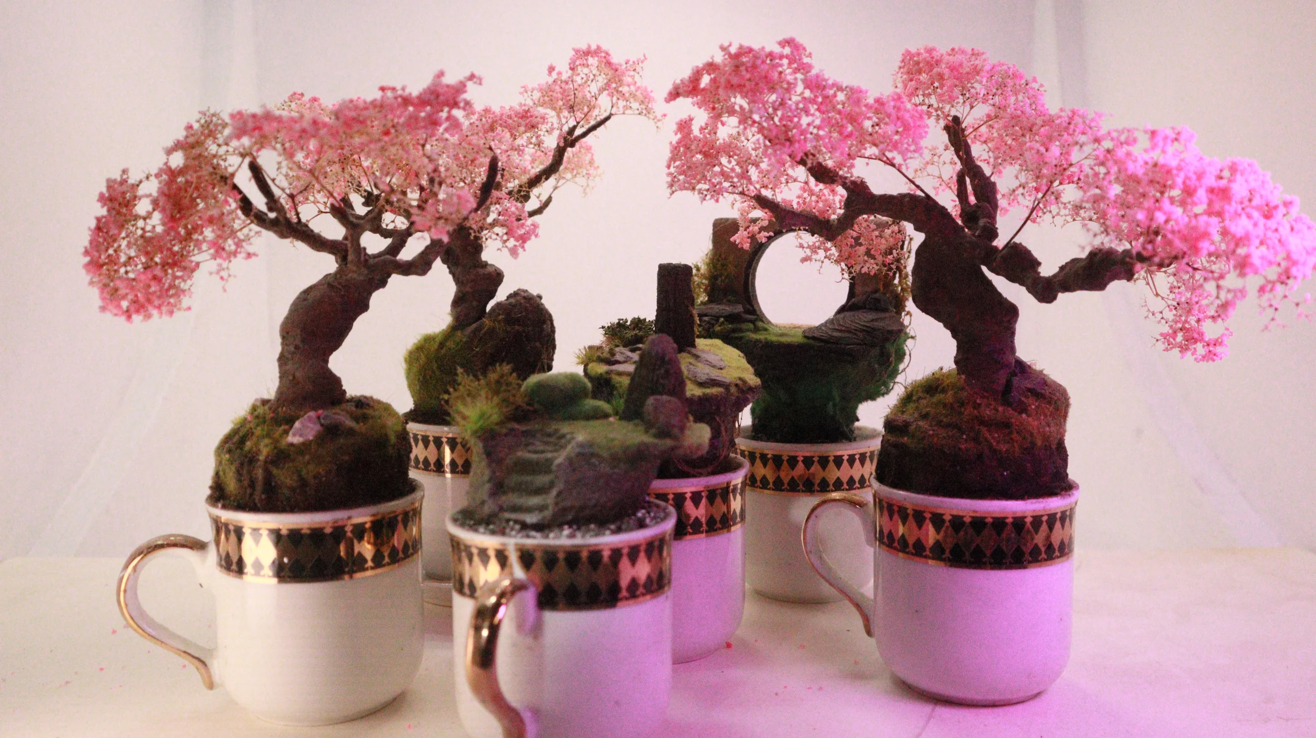 Cup of Calm: Japanese garden collection . 2 of 6 - Image 3