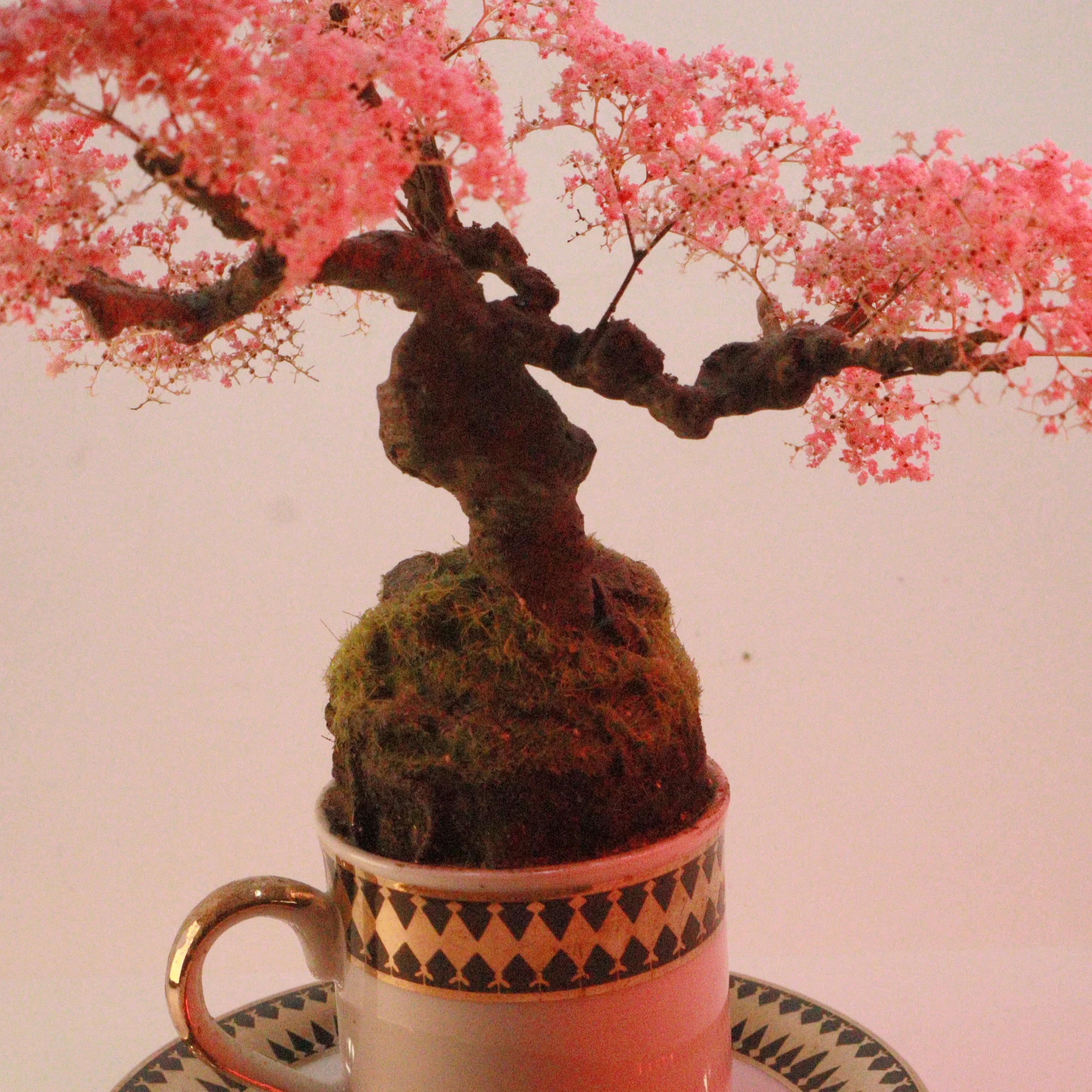 Cup of Calm: Japanese garden collection . 2 of 6 - Image 4
