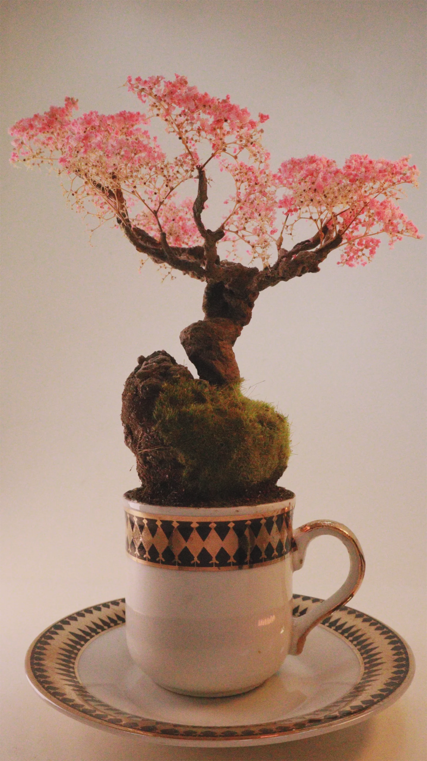 Cup of Calm: Japanese garden collection . 3 of 6 - Image 3