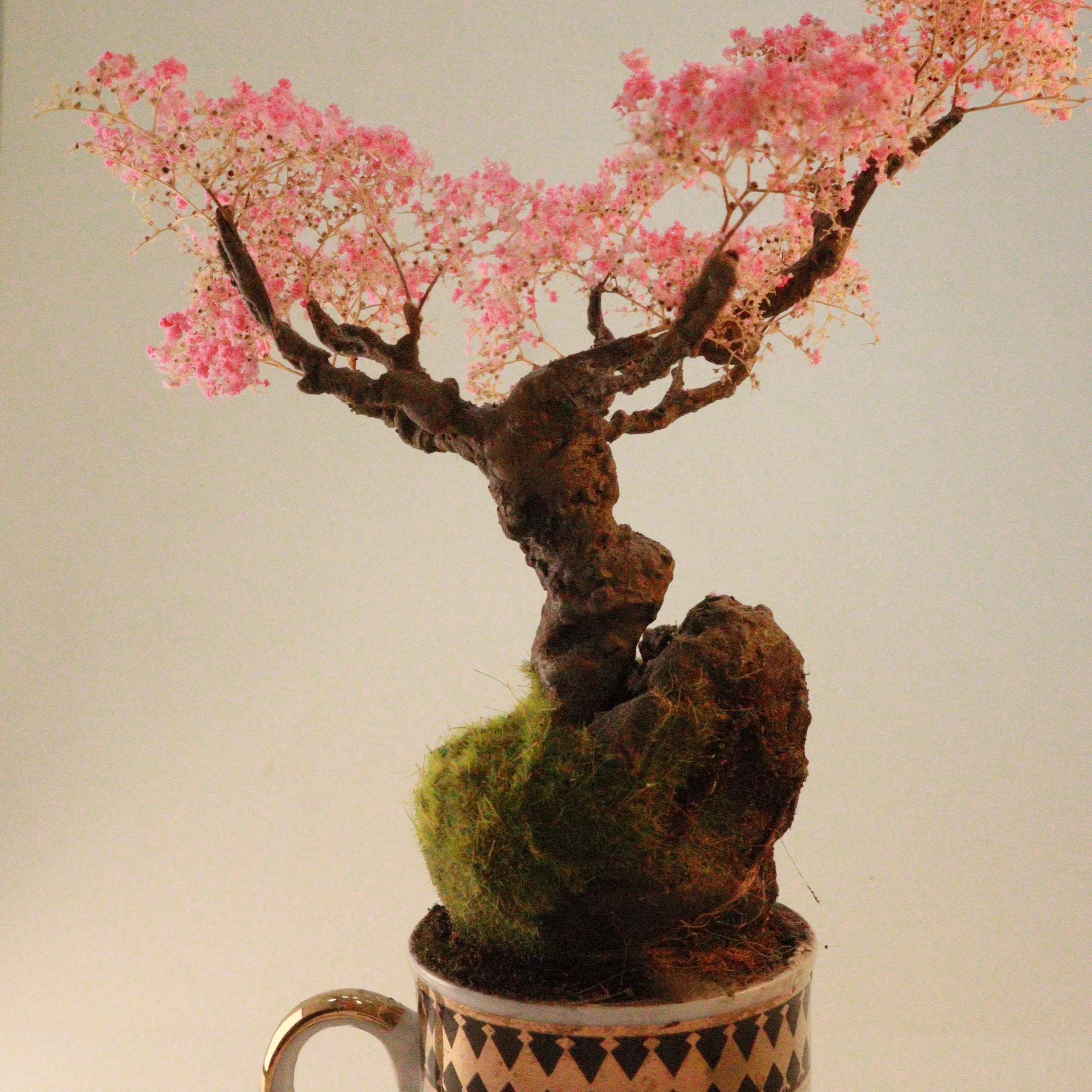 Cup of Calm: Japanese garden collection . 3 of 6 - Image 2
